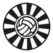 RT-Cup_SW RT-Cup